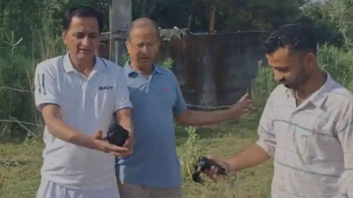 नल से निकला मरा हुआ सांप, फिर वॉटर टैंक खोलते ही उड़े होश, दहशत में आए इस गांव के लोग! dead snake from the tap