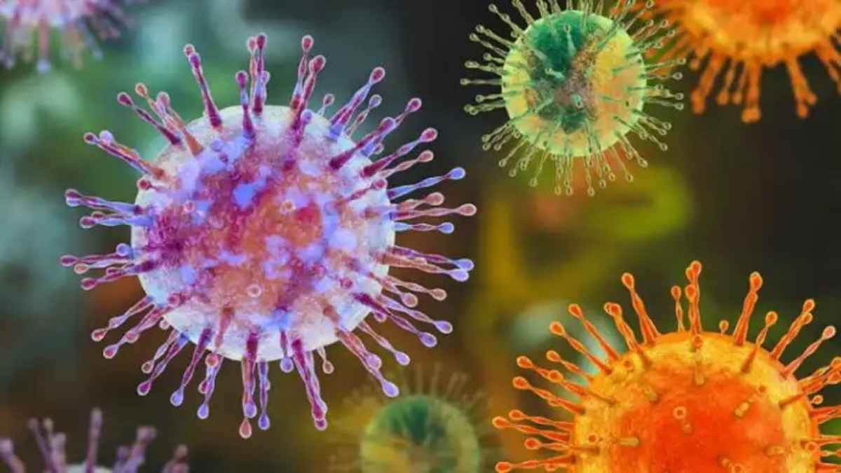 hantavirus