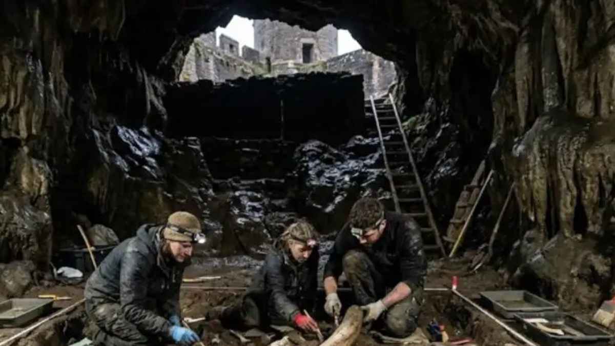 पेमब्रोक कैसल के नीचे मिली प्रागैतिहासिक गुफा: ब्रिटेन में दरियाई घोड़े और मैमथ के 1 लाख साल पुराने अवशेष बरामद mining