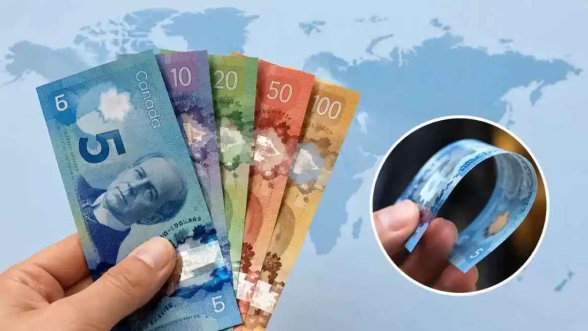 polymer currency