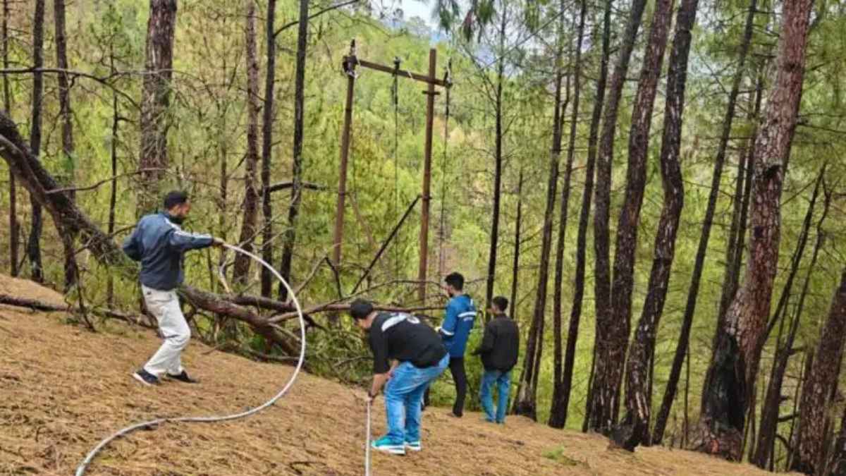 बागेश्वर में अंधड़ का तांडव: पेड़ गिरने से बिजली आपूर्ति ठप, कपकोट सहित कई इलाके अंधेरे में डूबे power cut