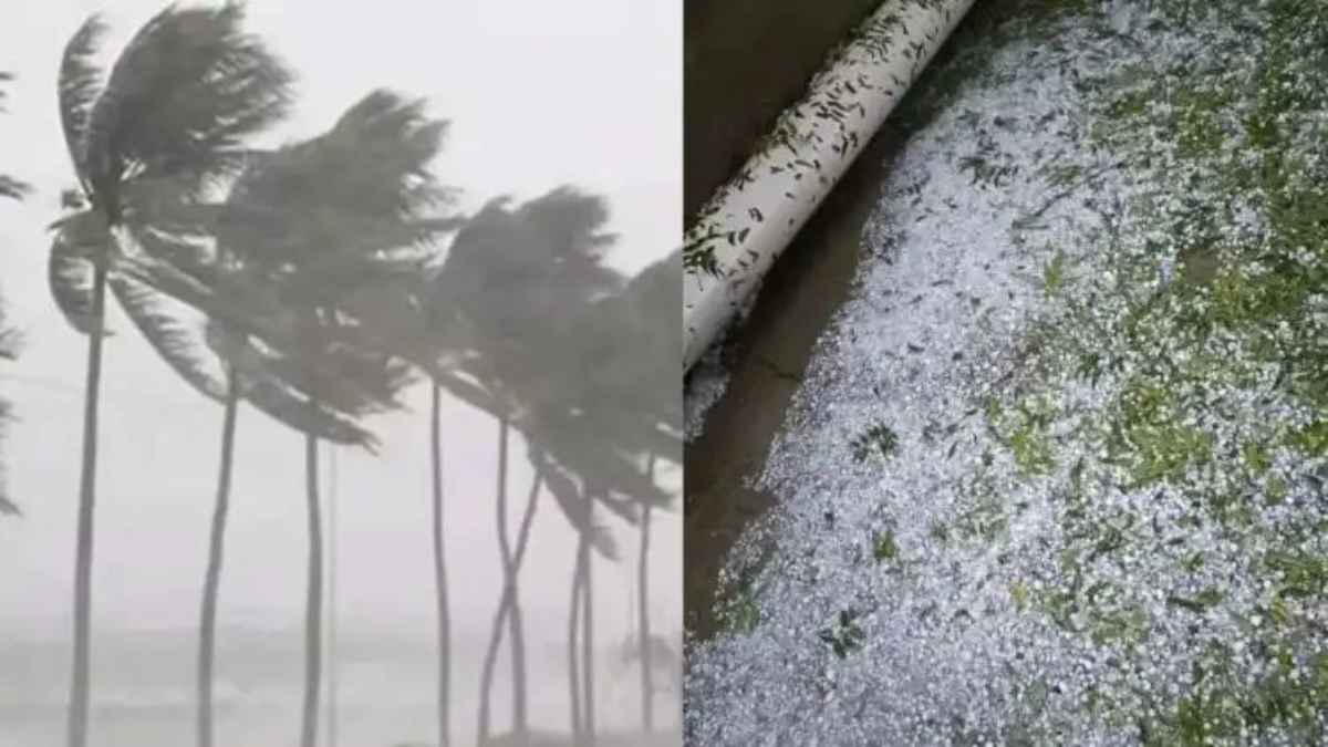Himachal Weather: हिमाचल में पश्चिमी विक्षोभ पड़ा कमजोर, 10 मई तक मिलेगी राहत, फिर सक्रिय होगा नया सिस्टम weather