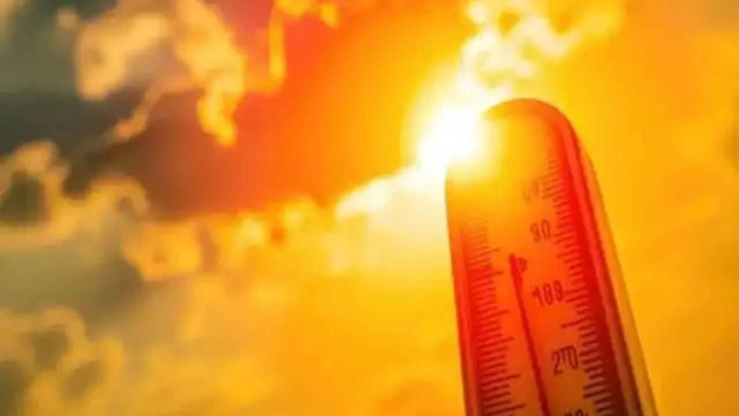 Weather Update: कहीं 47 डिग्री टॉर्चर तो कहीं झमाझम बारिश, मौसम विभाग ने देश के अलग-अलग राज्यों के लिए जारी किया भयानक अलर्ट weather update imd rain alert