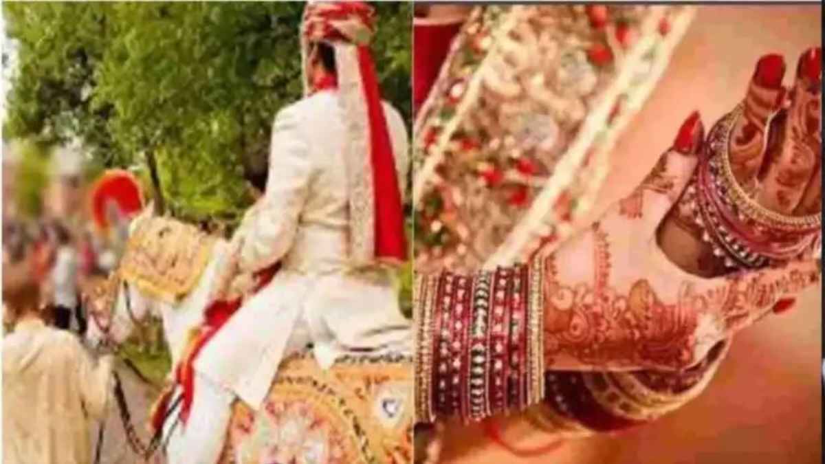 मंत्री के बेटे की ‘शाही शादी’ पर एक्शन: राजाजी टाइगर रिजर्व के चार अधिकारी नपे, पर बड़े चेहरों पर चुप्पी wedding