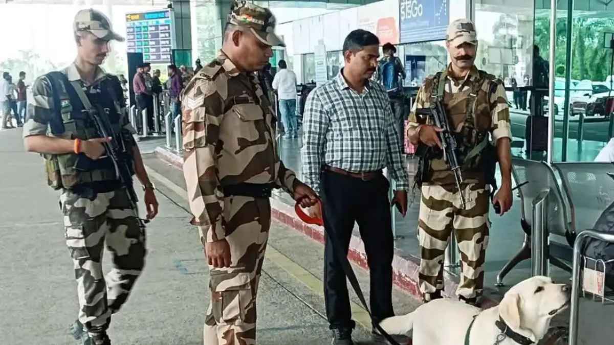 19 crore worth of marijuana seized