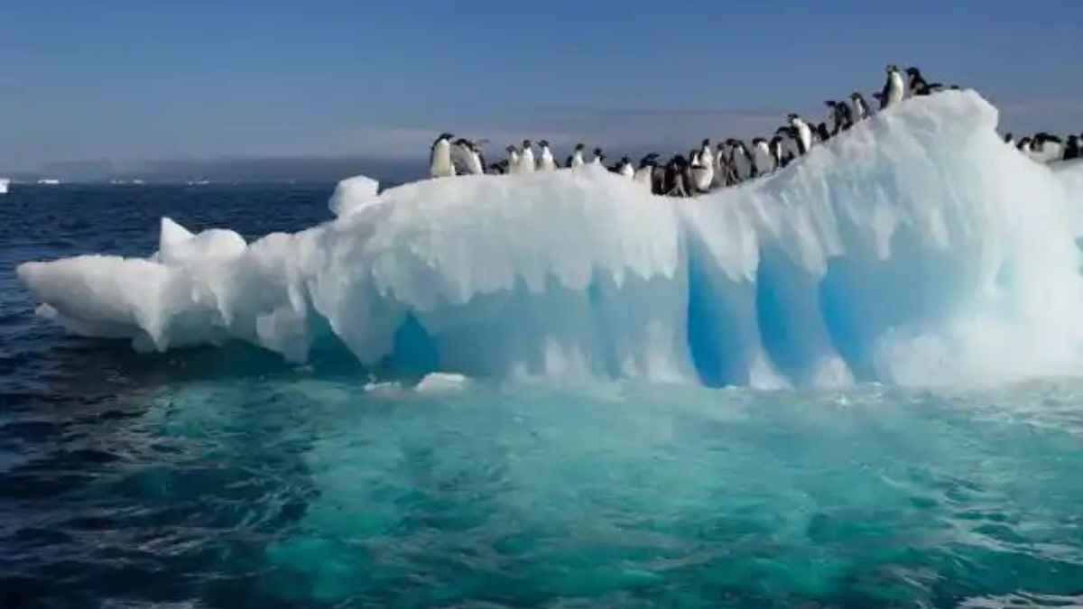 Antarctica