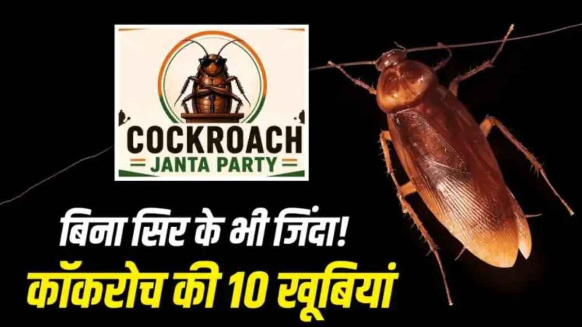 CockroachJanataParty