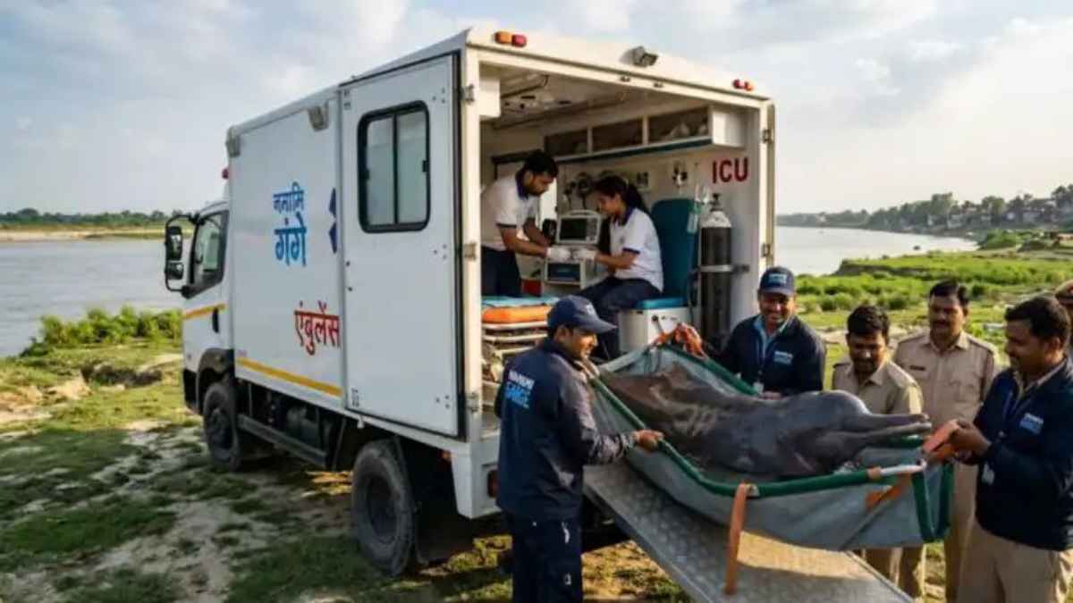 Mann Ki Baat: पीएम मोदी ने ‘मन की बात’ में की गोंडा और बस्ती के युवाओं की तारीफ, देश के सामने पेश की मिसाल! DolphinRescue