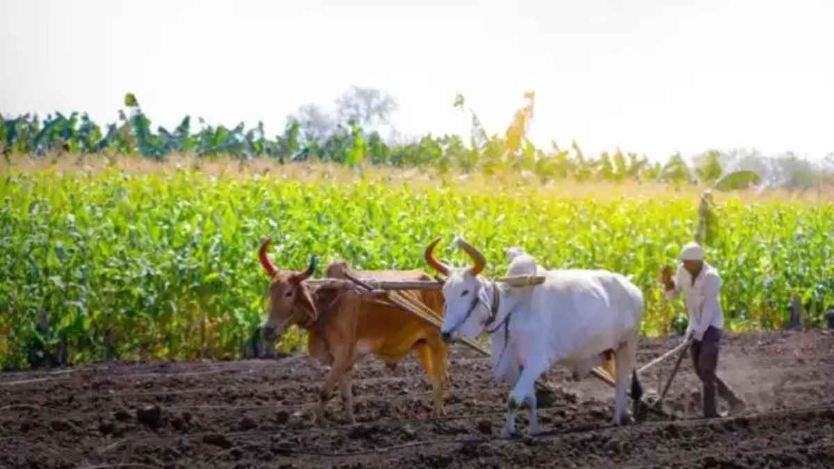 FarmerRelief