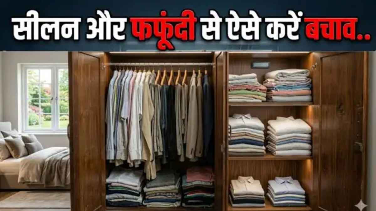 मानसून की दस्तक से पहले अलमारी में छुपा दें ये 5 चीजें, कपड़ों से कोसों दूर रहेगी सीलन और बदबू FungusPrevention