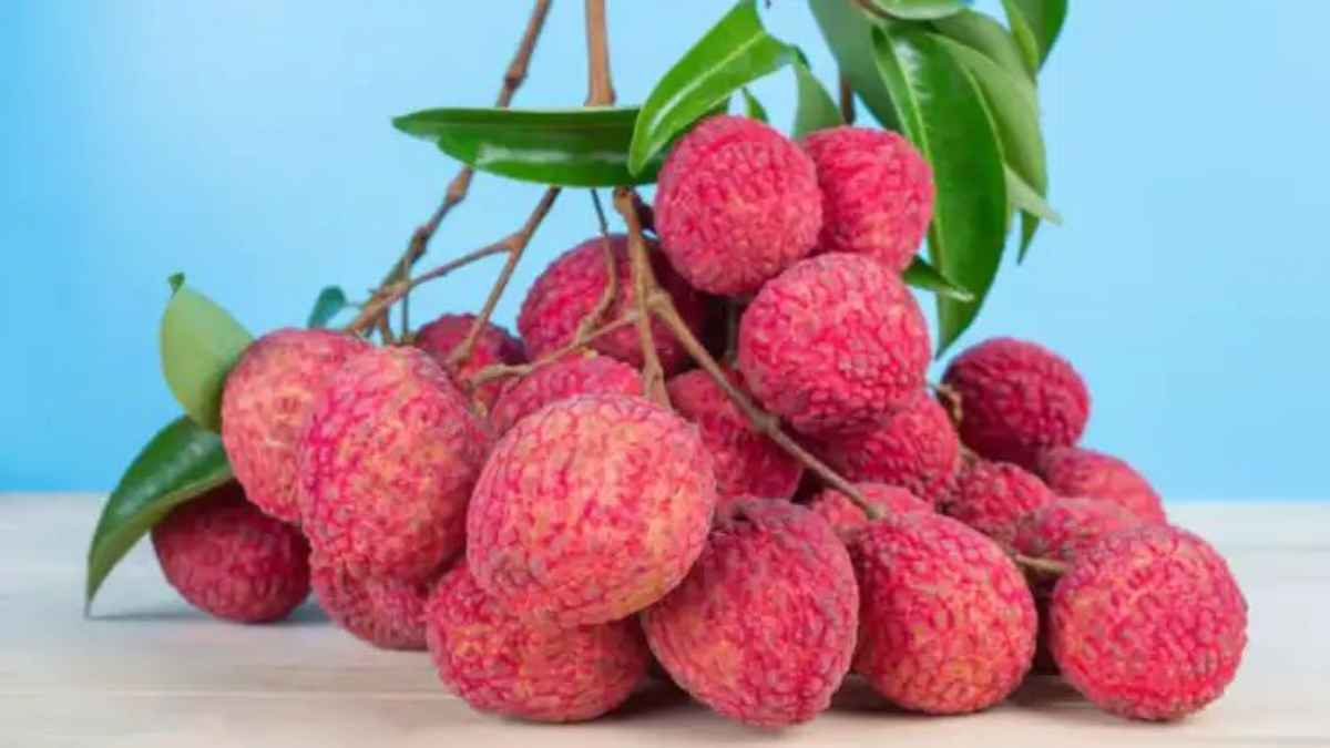 लीची लवर्स के लिए बड़ी खबर: इस आसान ट्रिक से हफ्तों तक खराब नहीं होगी लीची, स्वाद रहेगा एकदम फ्रेश! Litchi