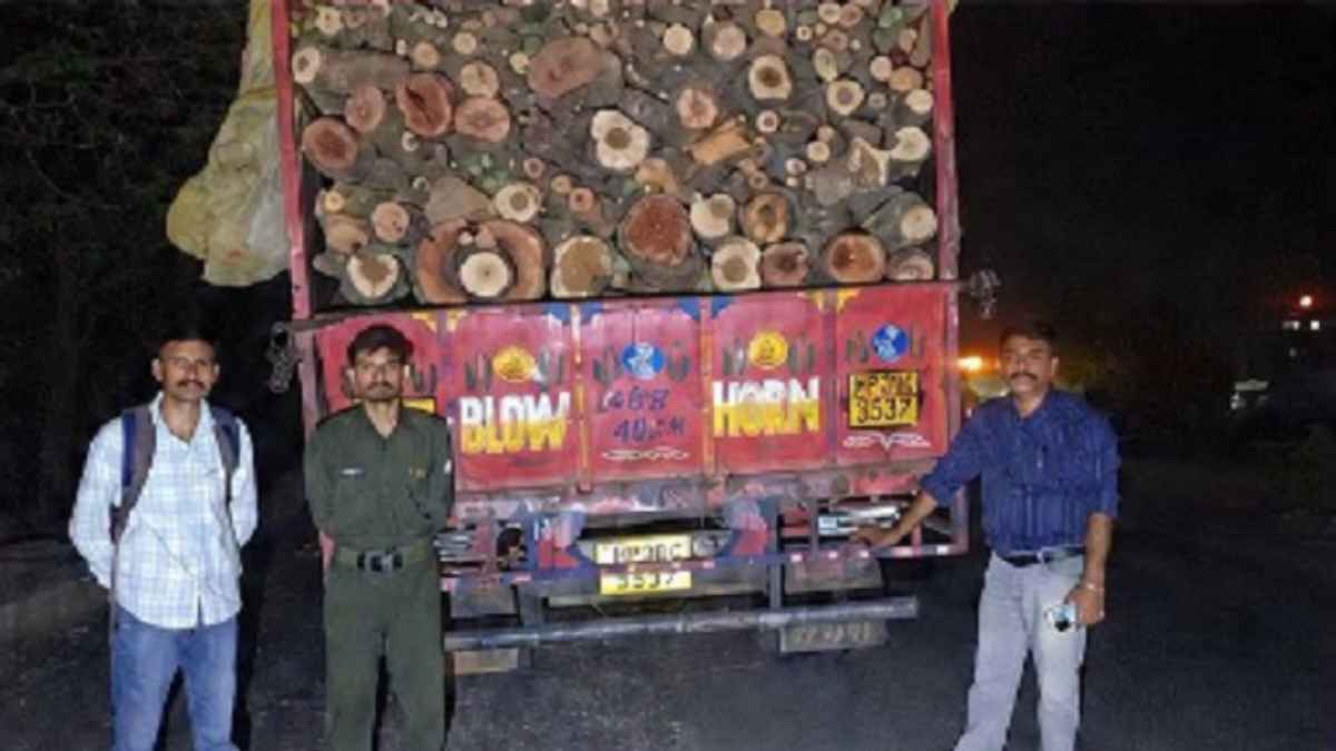 Kangra News: पंजाब जा रहे वन माफिया के ट्रक को वन विभाग ने रंगे हाथों दबोचा, आधी रात बैरियर पर मचा हड़कंप Nurpur Wood Smuggling