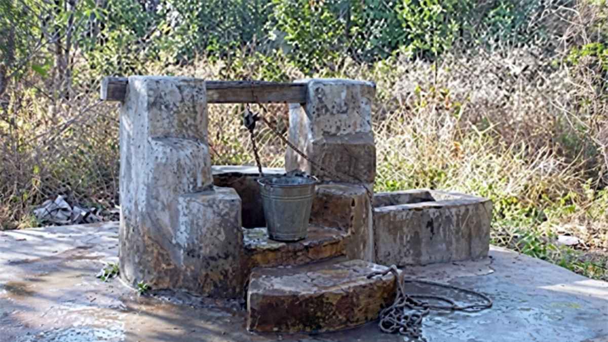 Kangra: क्या पीने के पानी में मिलाया जा रहा है धीमा जहर? कुएं में कीटनाशक डालने के सनसनीखेज आरोप से दहला गांव Pesticide found in village well