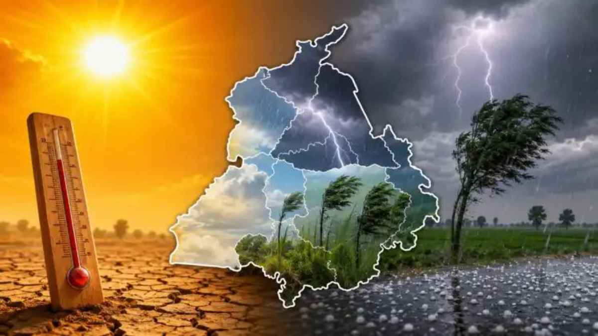 PunjabRainAlert