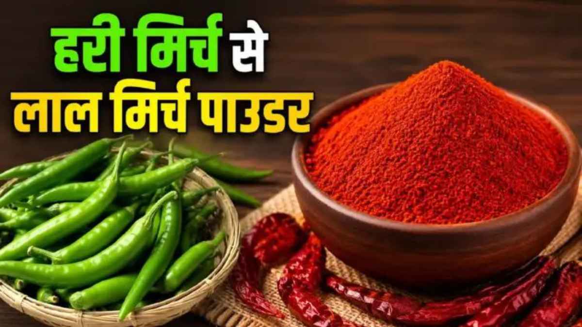 किचन की ये एक जादुई ट्रिक: बची हुई हरी मिर्च को ऐसे बदलें बाजार जैसे लाल पाउडर में, उंगलियां चाटते रह जाएंगे! RedChilliPowder