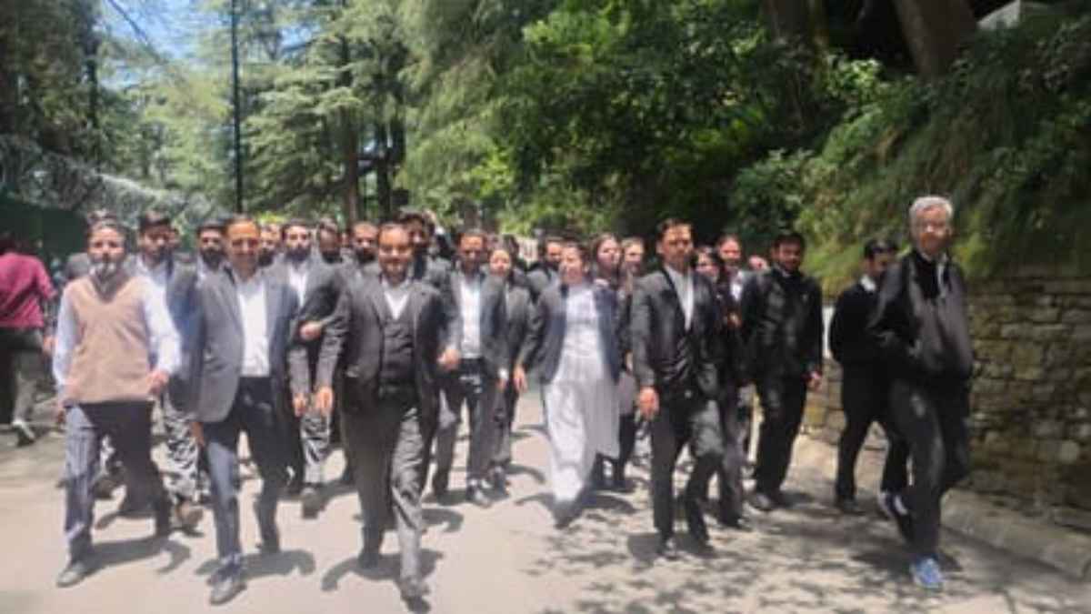 Shimla advocates protest