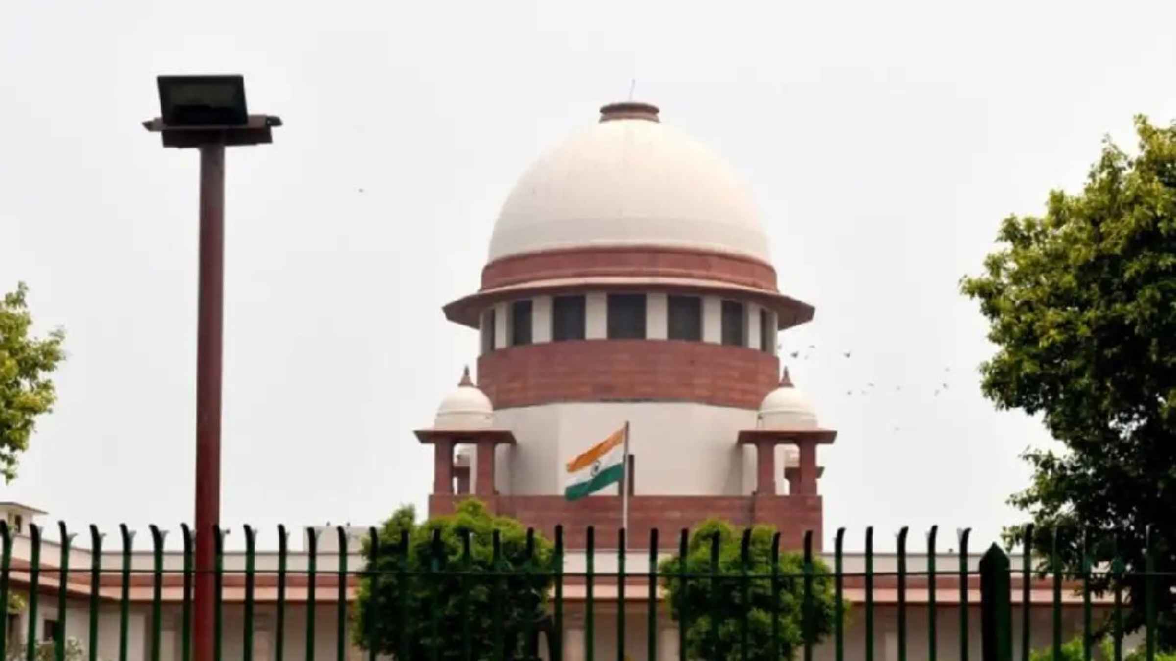 Supreme Court Elephant Custody