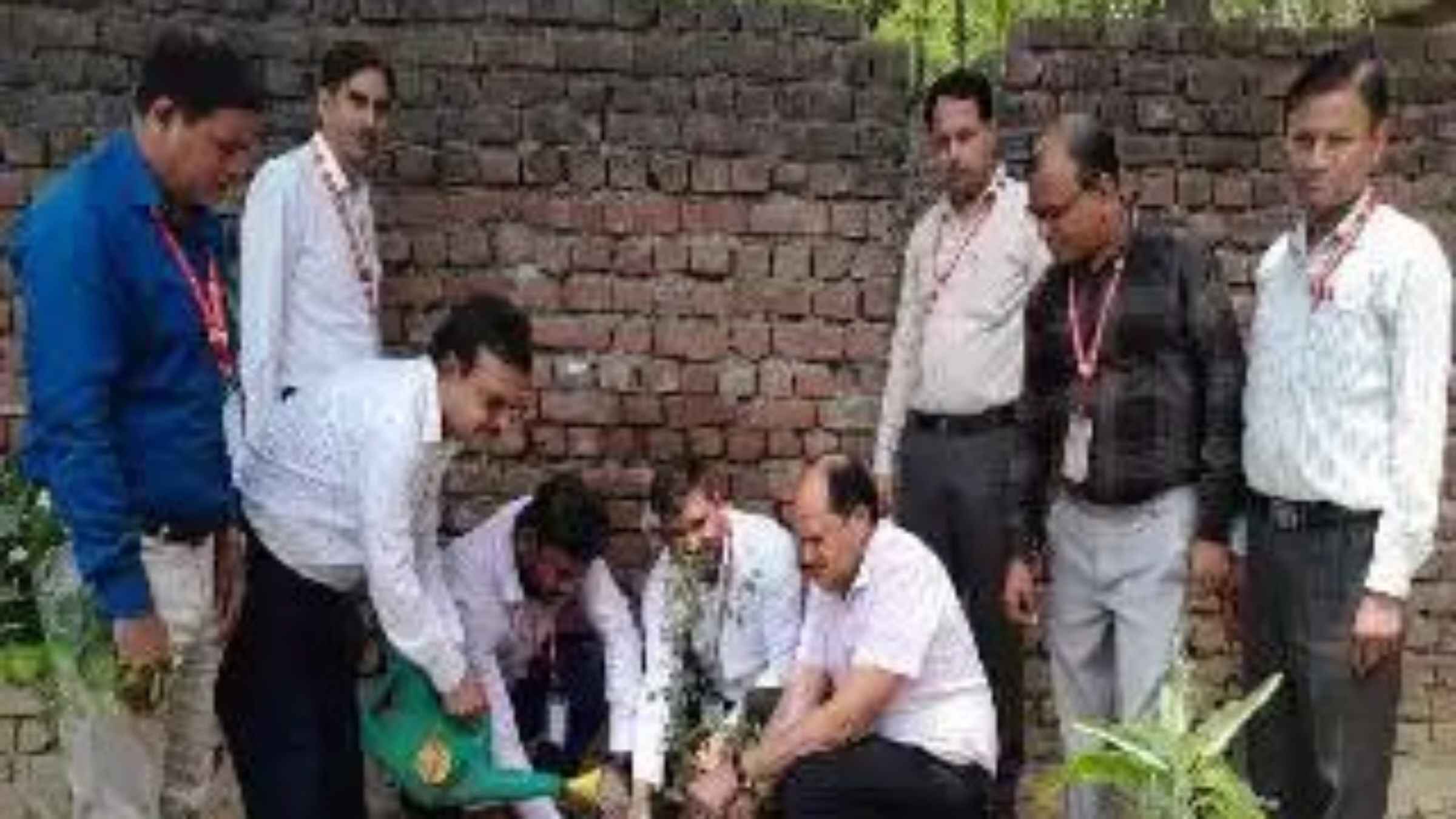 महावीर विश्वविद्यालय में छात्राओं ने रोपे सैकड़ों पौधे, ‘एक पेड़ मां के नाम’ अभियान से दिया हरित क्रांति का बड़ा संदेश Tree Plantation Environment Protection