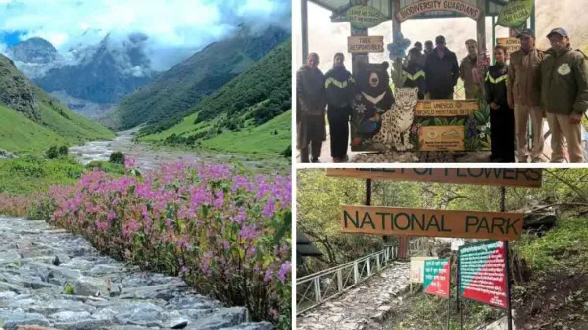 Uttarakhand Valley of Flowers: आज से खुला विश्व धरोहर ‘फूलों की घाटी’ का द्वार, पर्यटकों को दिखेगा 500 प्रजातियों का बहुरंगी संसार! UttarakhandTourism