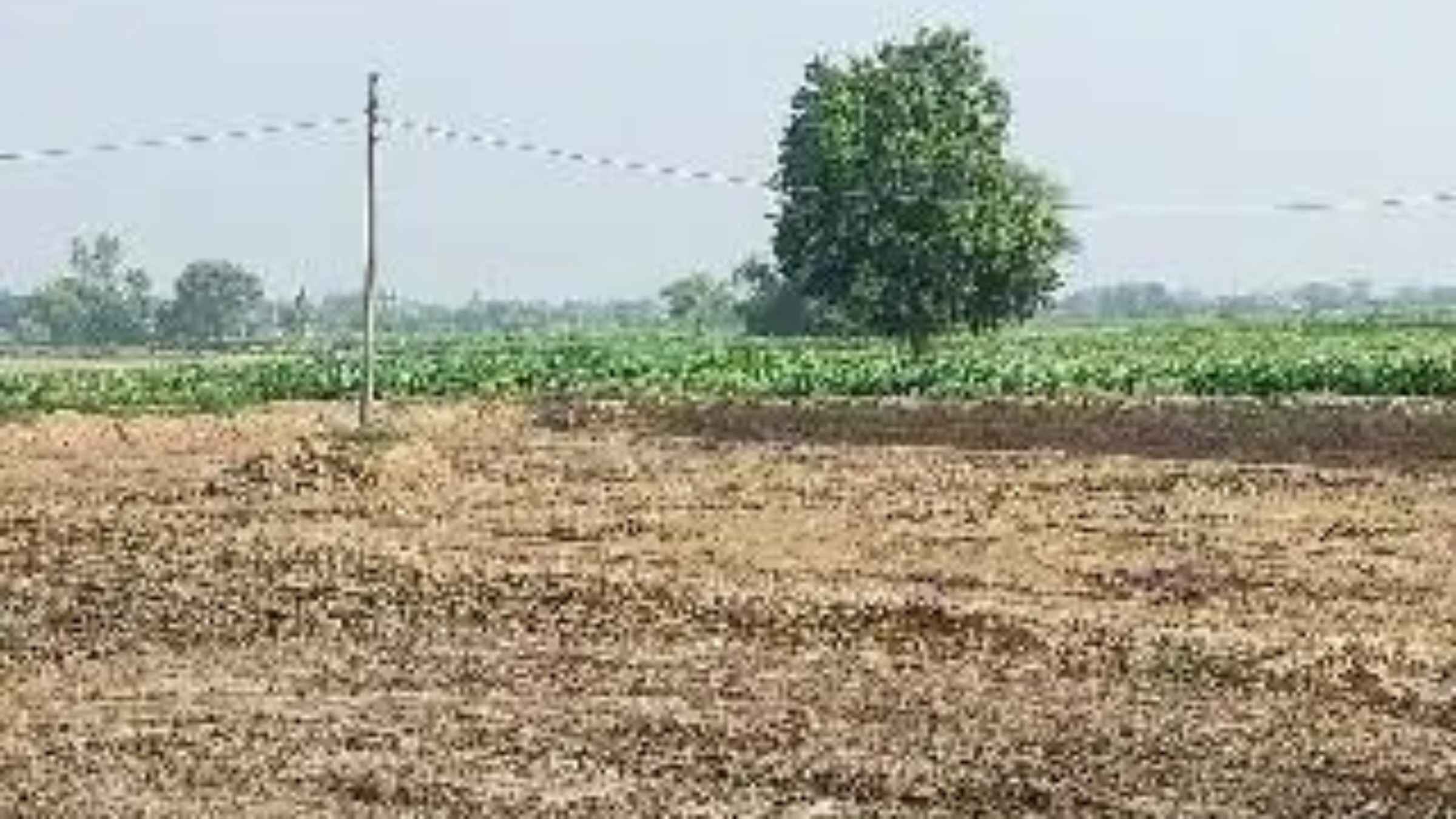 UP Crime News: चौबेपुर में बेखौफ खनन माफिया का हाईटेक नेटवर्क, स्कार्पियो-बोलेरो से पुलिस की रेकी कर उड़ा रहे धज्जियां Varanasi News Illegal Mining
