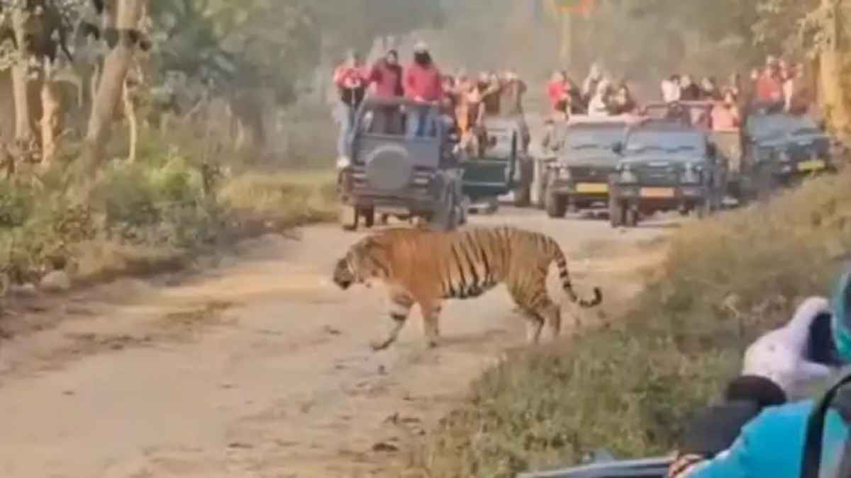 WildlifeProtection