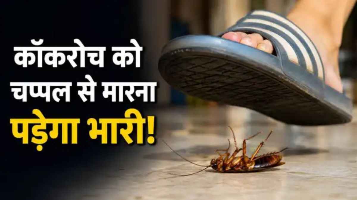 crushing cockroach with slipper