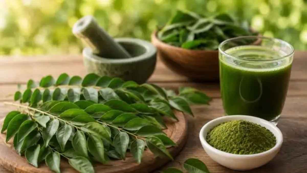 हर सुबह खाली पेट चबाएं बस 5 करी पत्ते, शरीर में दिखेंगे ये 7 जादुई और चमत्कारी बदलाव curry leaves health benefits
