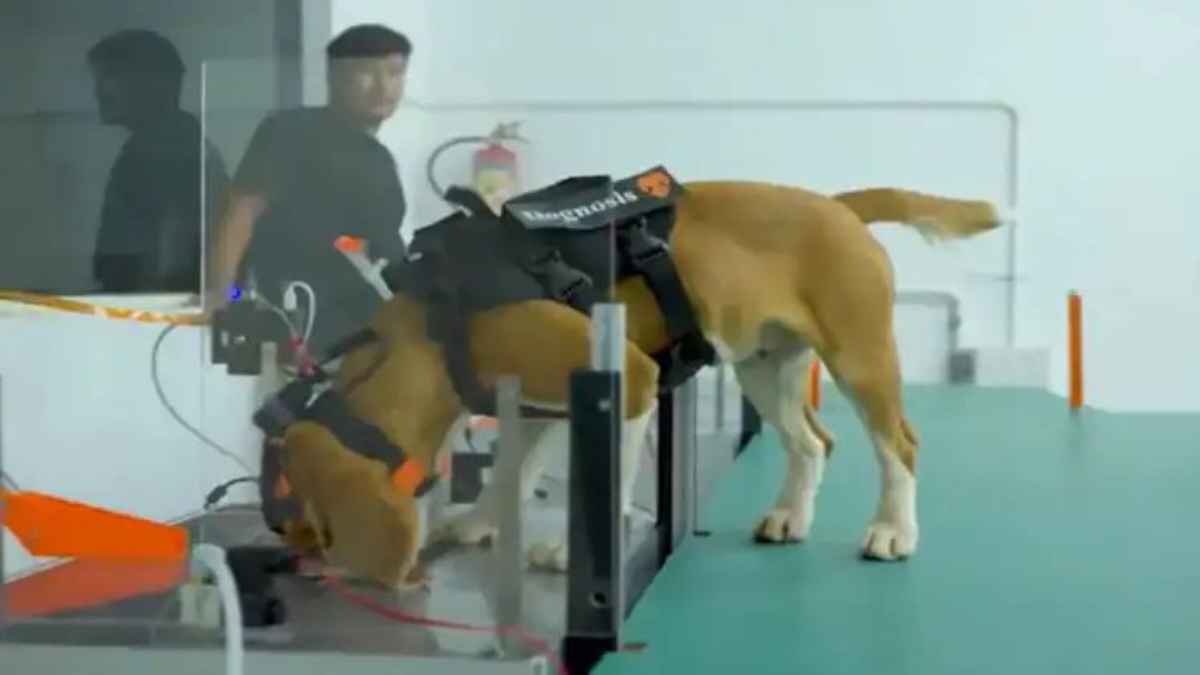 dogs ai technology