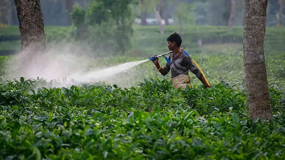 Himachal Pradesh में कीटनाशकों का कहर: कैंसर के बढ़ते मामलों ने बढ़ाई चिंता, सेब की फसल बन रही जहर farmer
