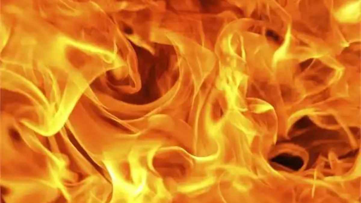 दिल्ली के द्वारका में नमकीन फैक्टरी में लगी भीषण आग, आधी रात को मची भारी अफरा-तफरी fire-incident