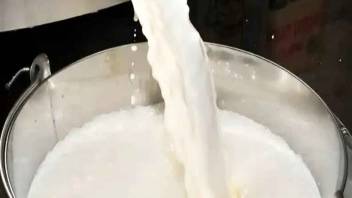himachal-pradesh-milk-procurement-policy