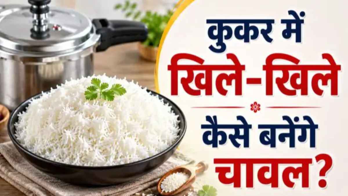 Cooking Tips: चावल बनते ही हो जाते हैं गीले या कुकर में जल जाते हैं? अपनाएं ये सीक्रेट ट्रिक, हर बार बनेंगे होटल जैसे खिले-खिले how-to-cook-perfect-rice