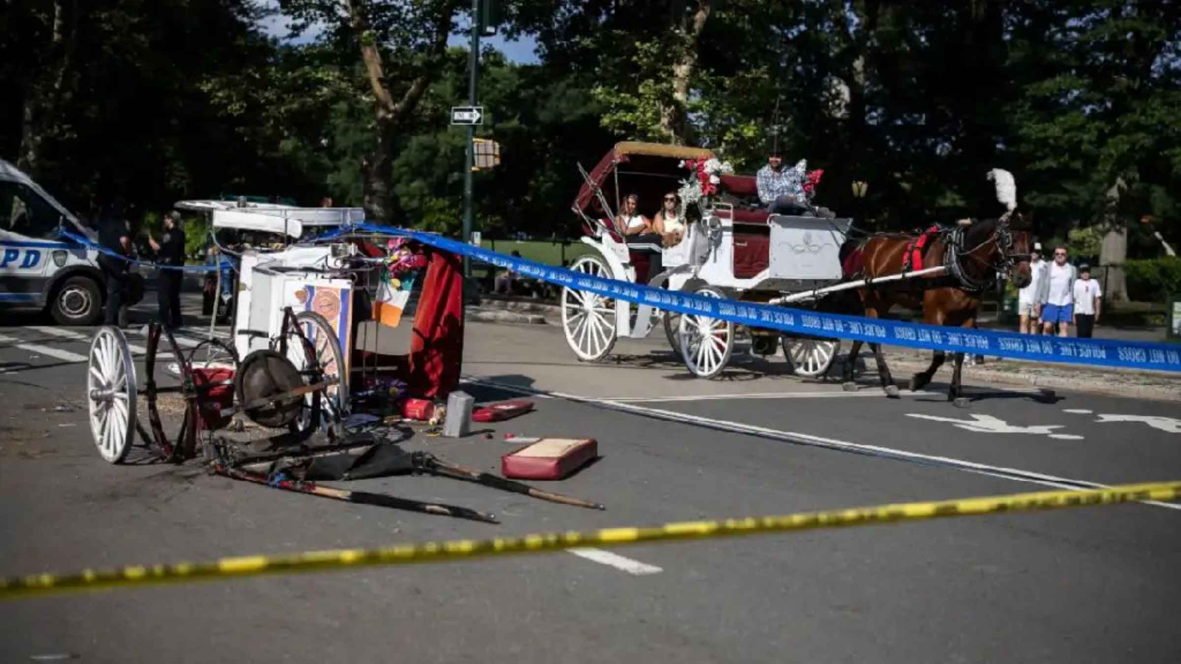 indian student death new york