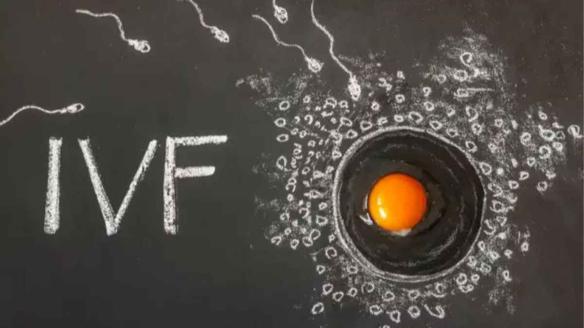 IVF Treatment: क्या आईवीएफ से बच्चा होने की 100% गारंटी है? इलाज शुरू करने से पहले डॉक्टर की यह चेतावनी जरूर जान लें ivf-treatment-success-rate