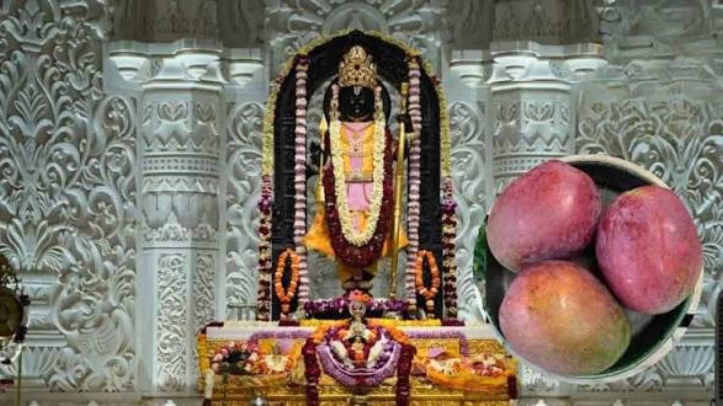 प्रभु रामलला के दरबार पहुंचा दुनिया का सबसे महंगा आम, एक फल की कीमत जानकर उड़ जाएंगे आपके होश miyazaki mango price ram l Temple ayodhya