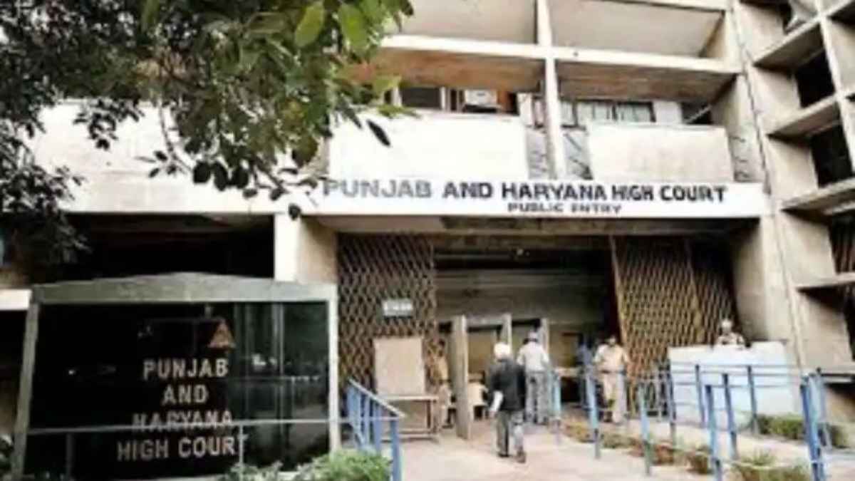 punjab high court