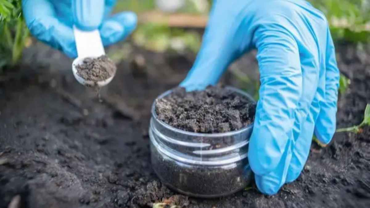 बिहार के स्कूलों में खुलेंगी मिट्टी जांच लैब! पढ़ाई के साथ छात्र सीखेंगे खेती के वैज्ञानिक गुर school-soil-testing-lab
