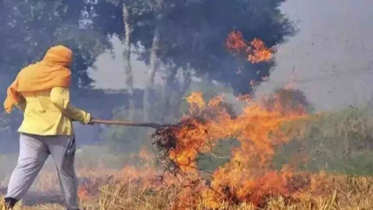 shivraj-singh-chouhan-stubble-burning-plan