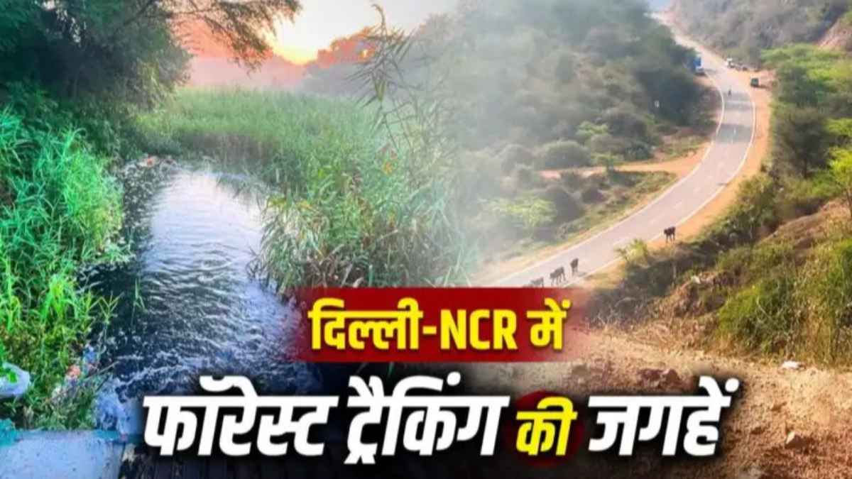 दिल्ली-एनसीआर की ये 5 ‘छिपी’ जगहें गर्मी में देंगी ठंडक, सुकून के लिए आज ही प्लान करें ट्रिप travel-tips