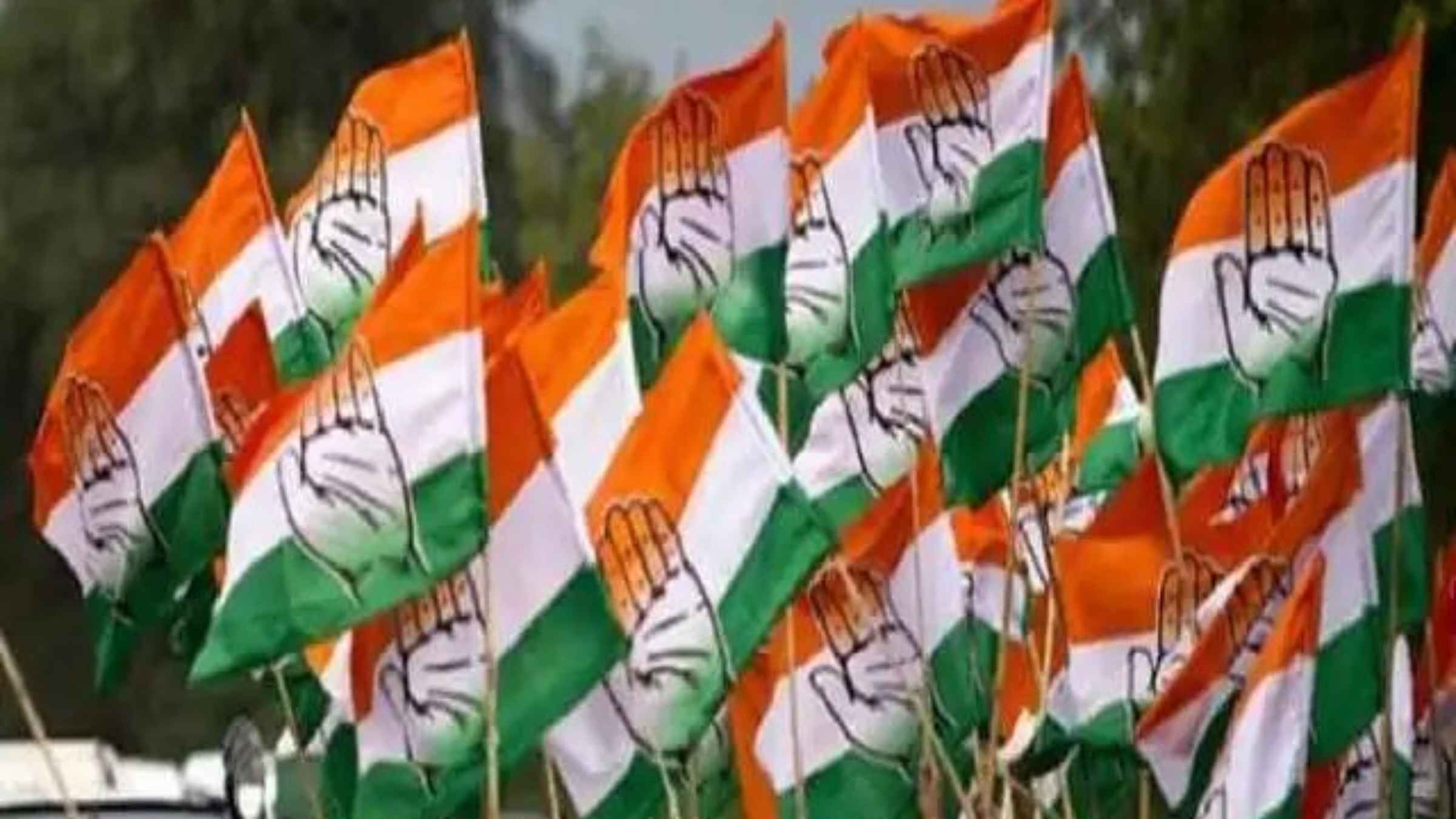 voter list revision  delhi congress workshop